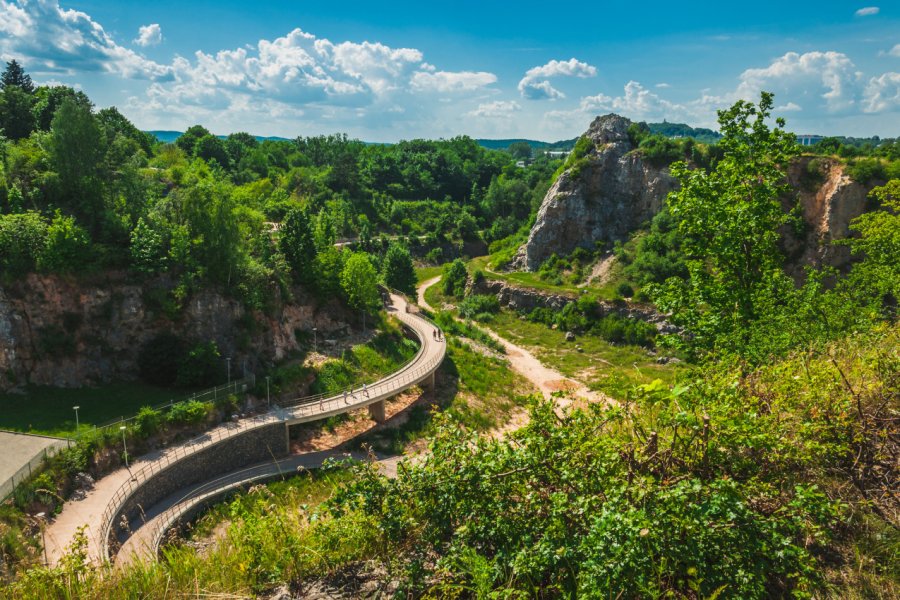 RÉSERVE NATURELLE KADZIELNA (RESERWAT ŚCISŁY KADZIELNA)