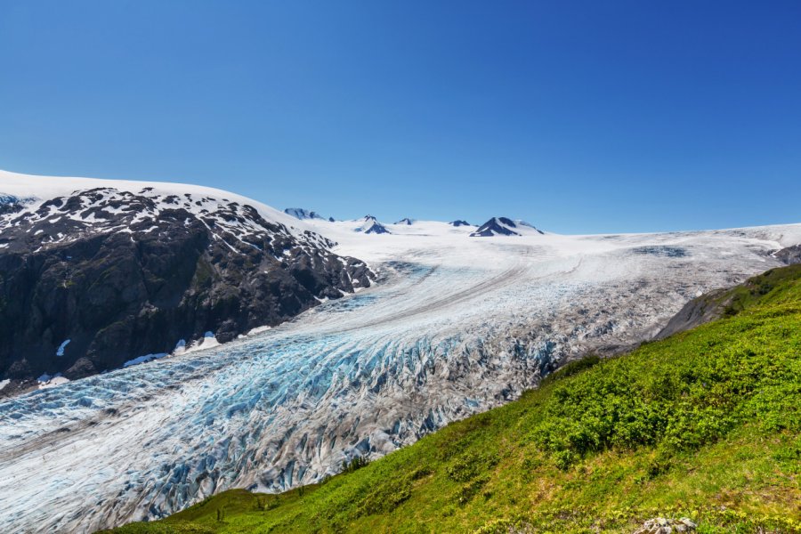 EXIT GLACIER