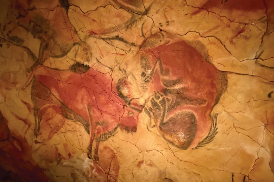 Peintures rupestres dans la grotte d'Altamira. Iker Rincon Moreno - iStockphoto.com