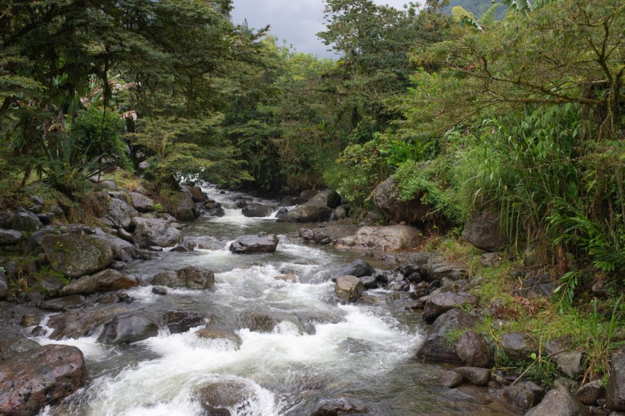 RÍO PANCE