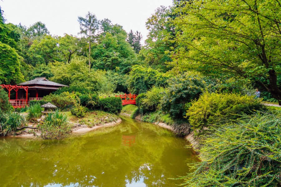 JARDIN BOTANIQUE DE CLUJ-NAPOCA