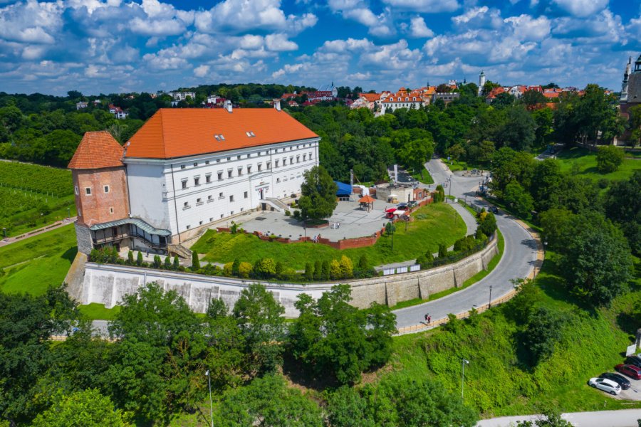 CHÂTEAU DE SANDOMIERZ