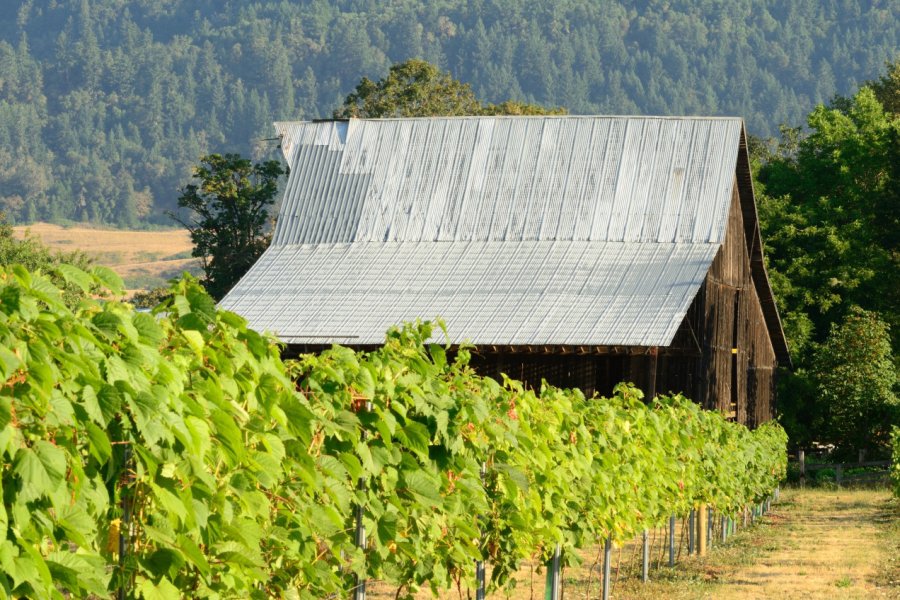 UMPQUA VALLEY WINERIES