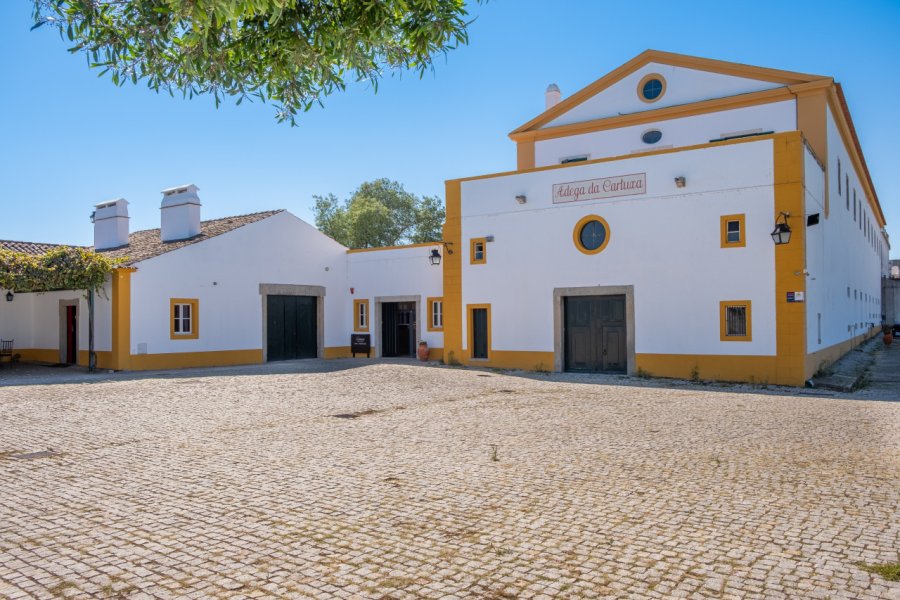 ADEGA DA CARTUXA