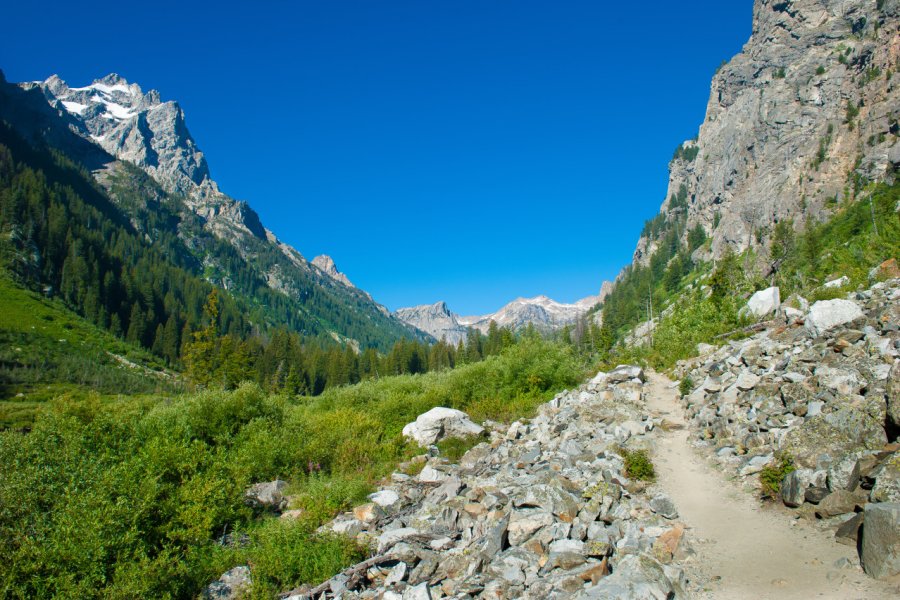 CASCADE CANYON