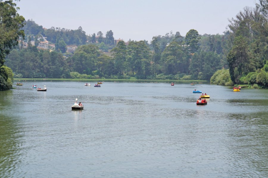 OOTY LAKE