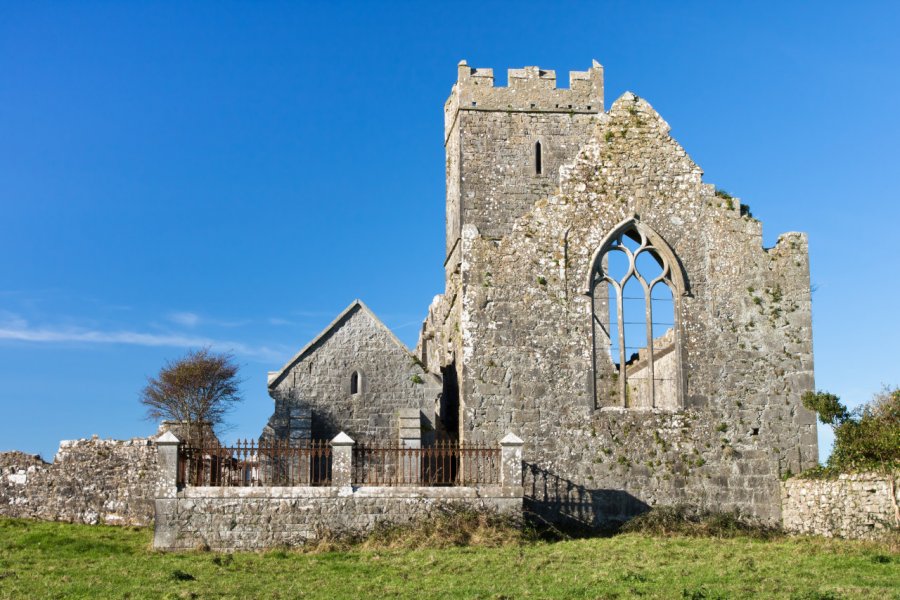 ENNIS FRIARY