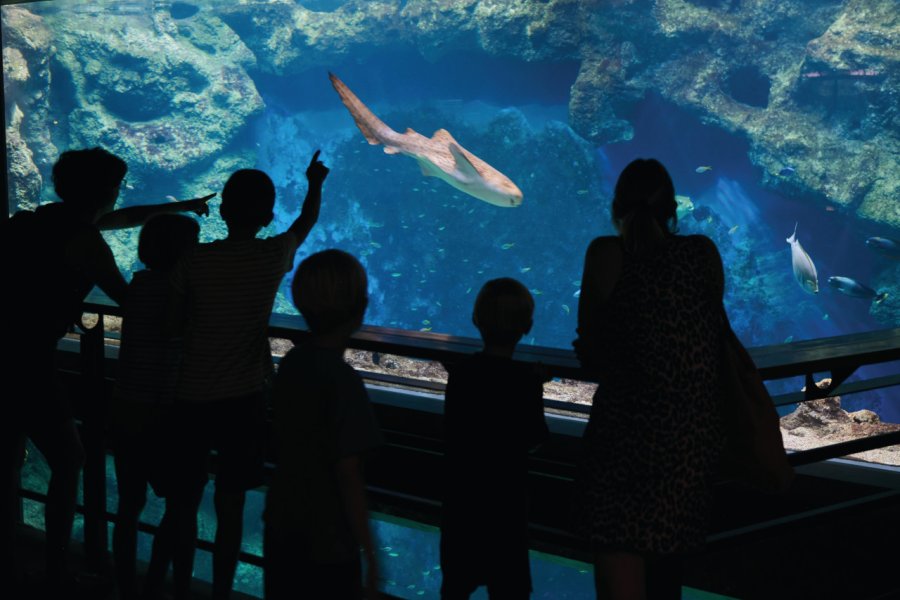 AQUARIUM DE LYON