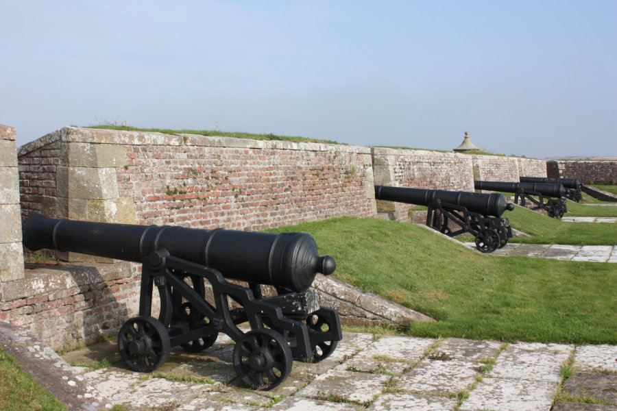 FORT GEORGE