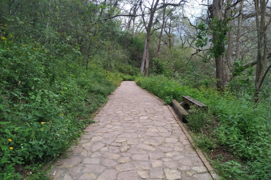PARQUE NATURAL LA ESTANZUELA