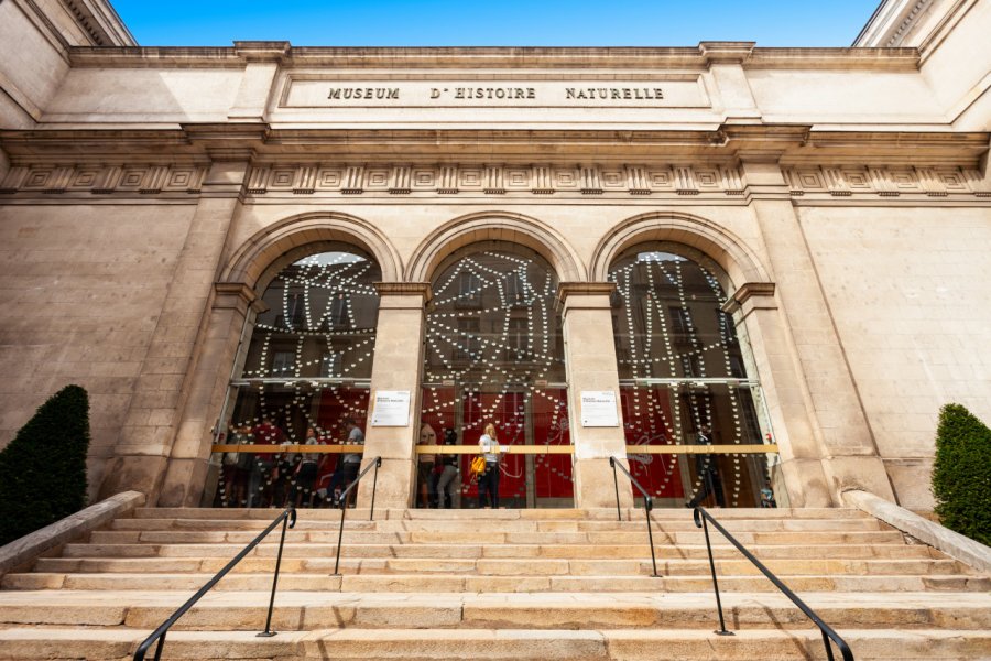 LE MUSEUM D'HISTOIRE NATURELLE DE NANTES