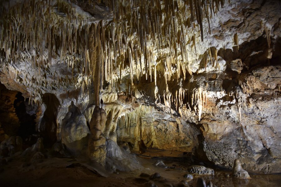 GROTTE DU PARADIS (JASKINIA RAJ)