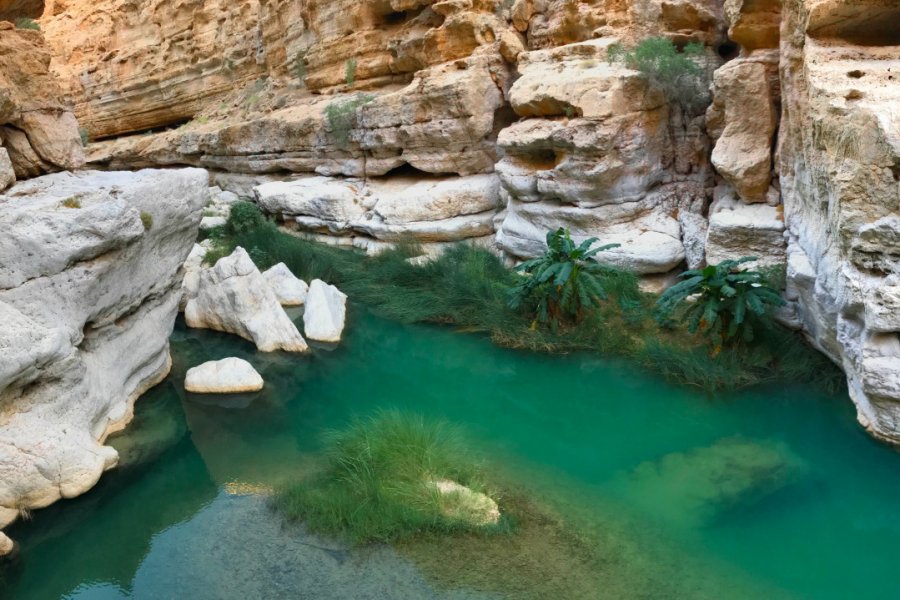 WADI SHAB