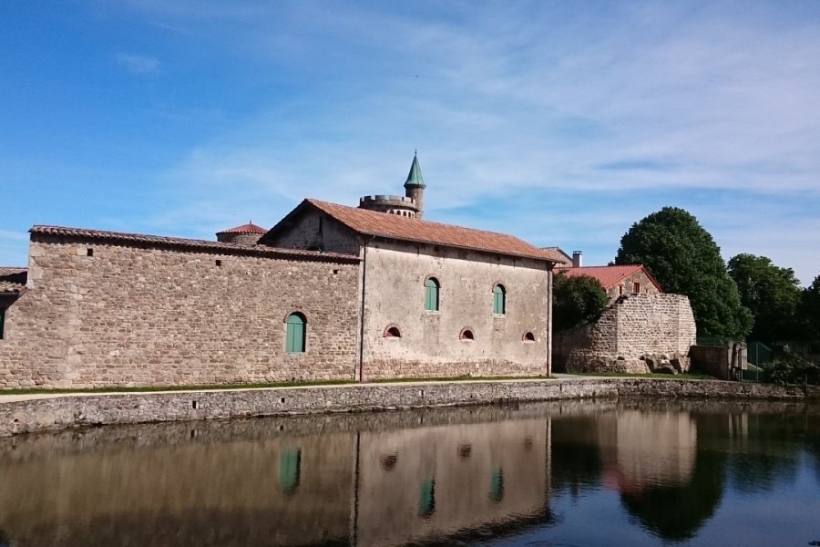 CHÂTEAU DE VIRIEU