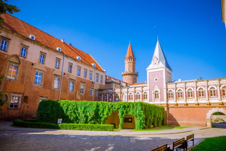 CHÂTEAU DES PIAST (ZAMEK PIASTOWSKI)