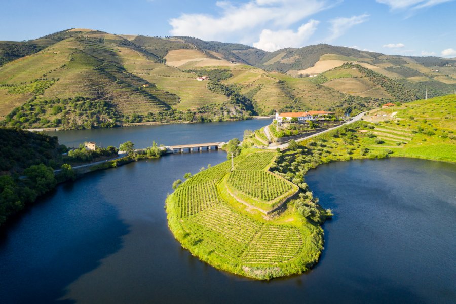 QUINTA DO TEDO