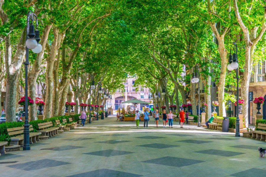 PASSEIG DEL BORN