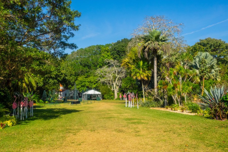 SELBY GARDENS