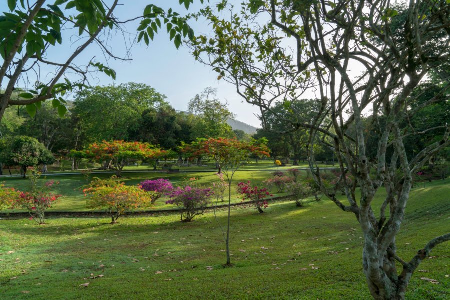 BOTANICAL GARDENS