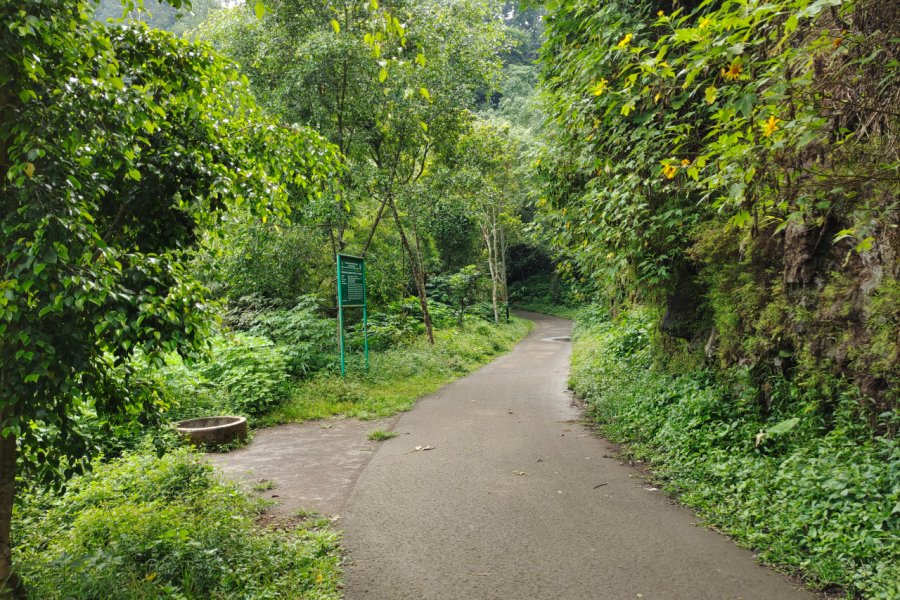 TAMAN HUTAN RAYA JUANDA