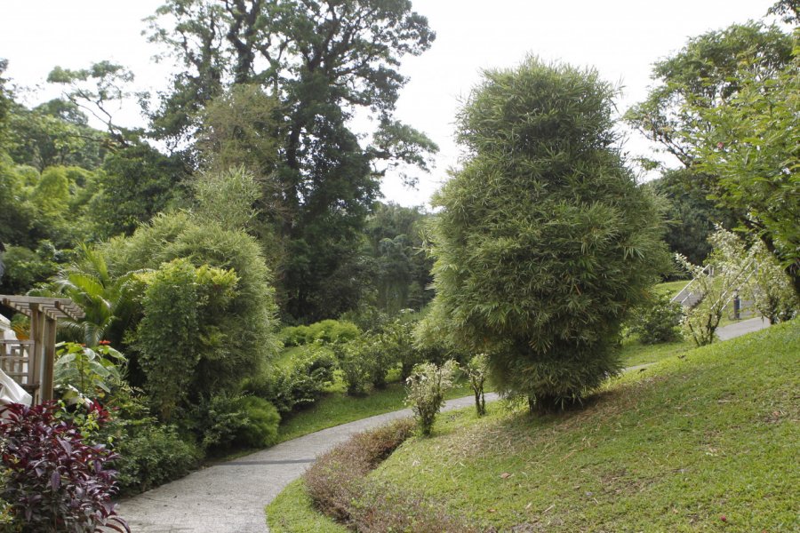 DOMAINE D'ÉMERAUDE