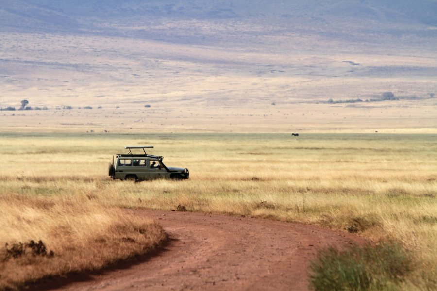 Safari dans l'aire de conservation du Ngorongoro Stephan SZEREMETA