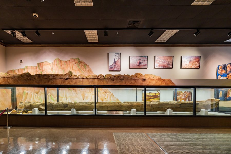 LOUISIANA STATE EXHIBIT MUSEUM