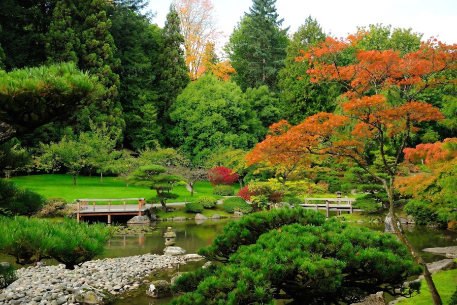 WASHINGTON PARK ARBORETUM