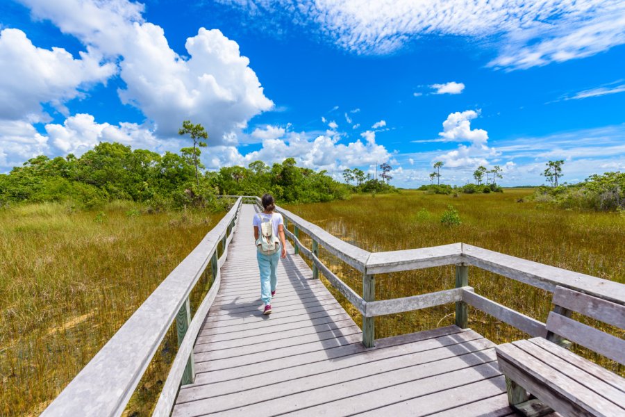 MAHOGANY HAMMOCK TRAIL