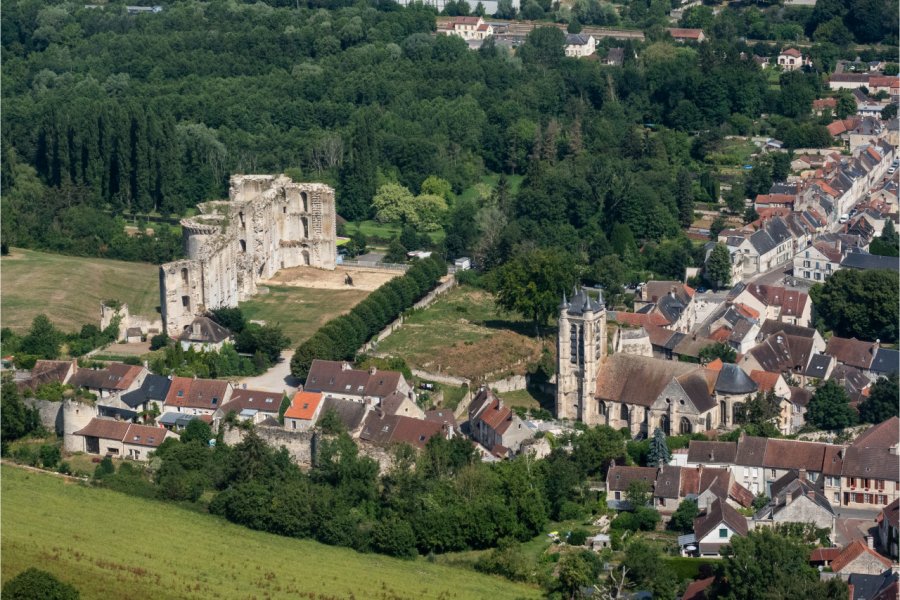 RUINES DU CHÂTEAU DE LOUIS DUC D'ORLÉANS