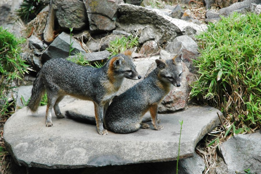 PARQUE ZOOLÓGICO NACIONAL
