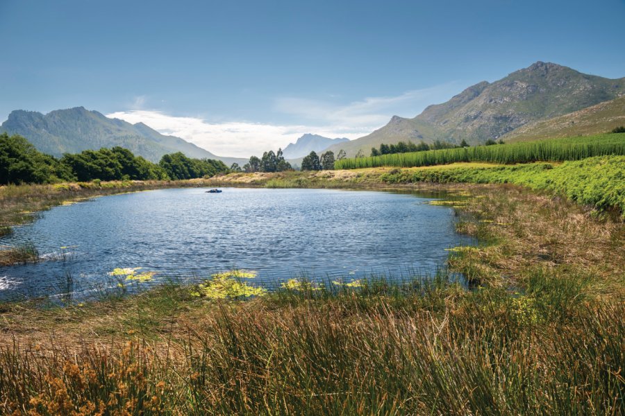 MONTS OUTENIQUA