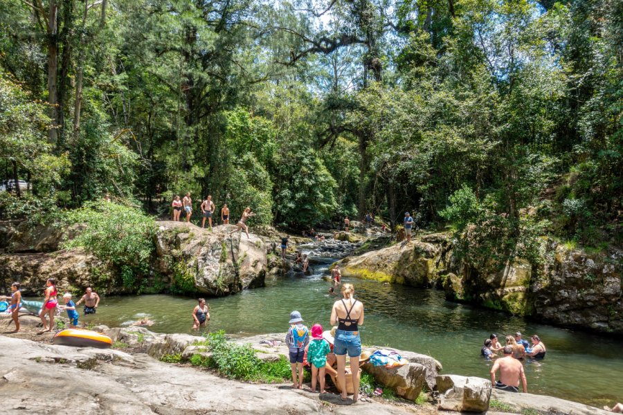 BARRINGTON TOPS NATIONAL PARK