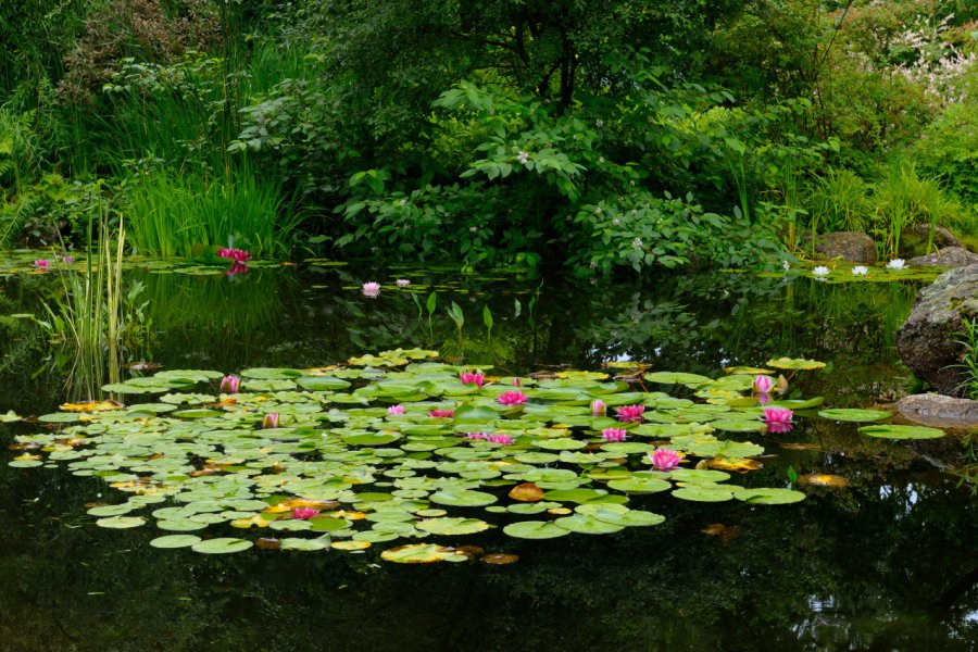 HISTORIC GARDENS