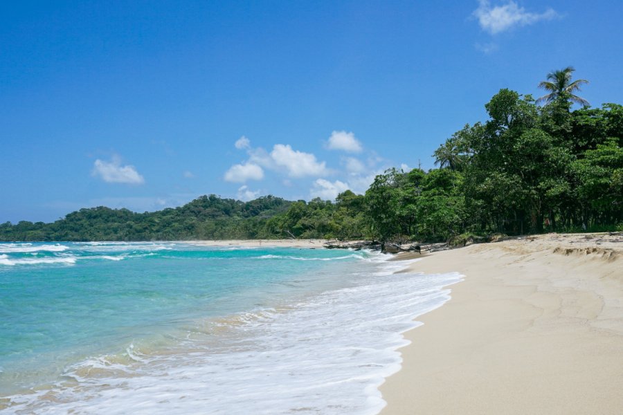 PLAYA PRIMERA OU WIZARD