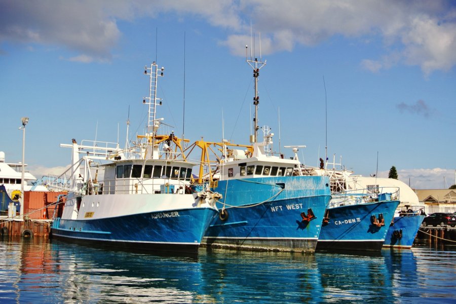 FREMANTLE HARBOUR
