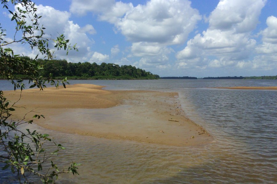 FLEUVE OYAPOCK