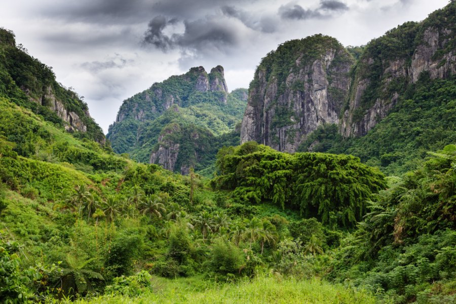 TERRA TREK FIJI