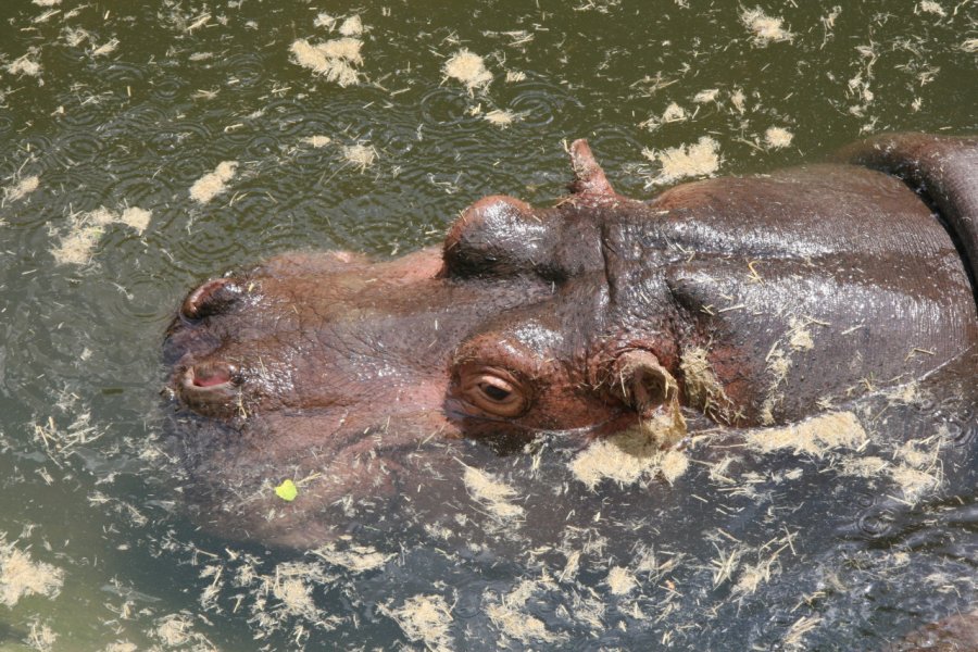 ZOO DE MAUBEUGE