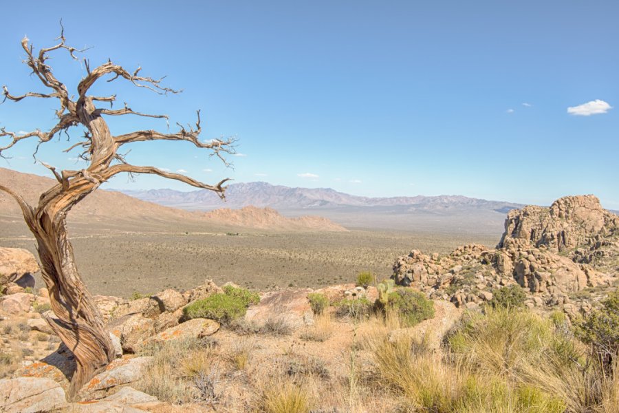 TEUTONIA PEAK TRAIL