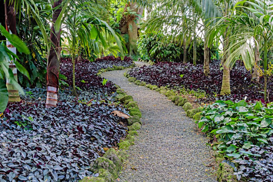 WAHIAWA BOTANICAL GARDEN