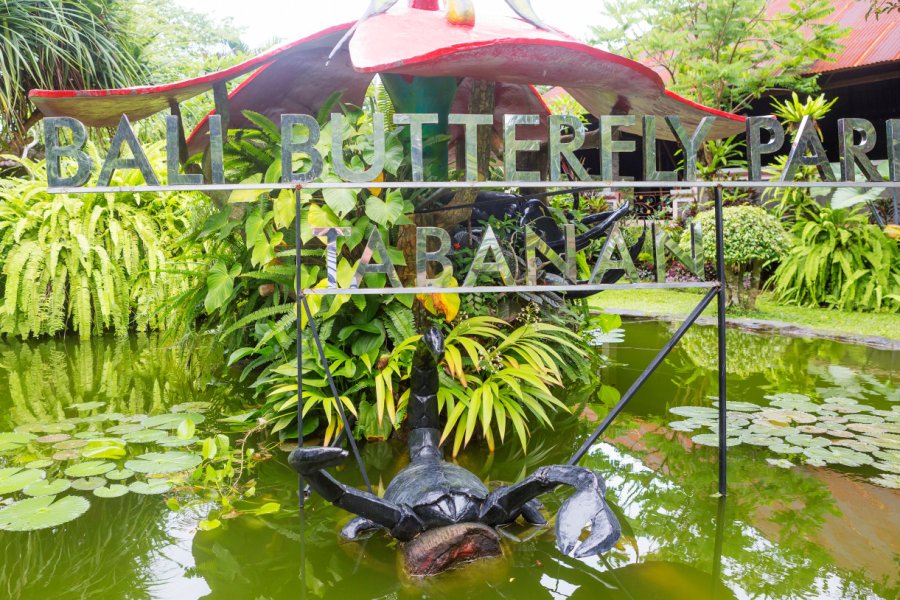 BALI BUTTERFLY PARK - PARC AUX PAPILLONS
