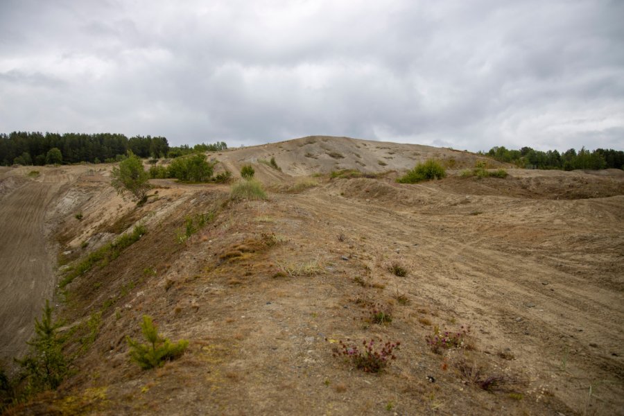 KVITSANDEN