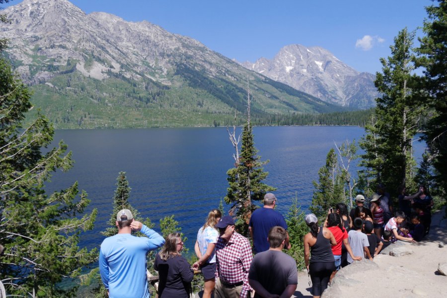 JENNY LAKE SCENIC DRIVE