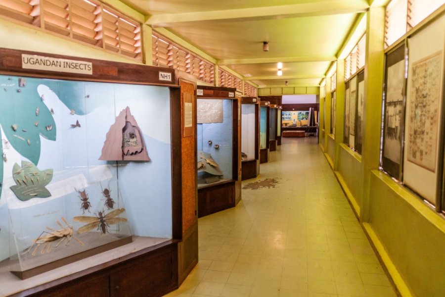 MUSÉE NATIONAL