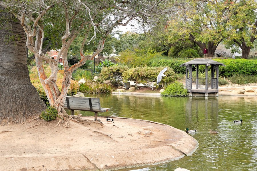 SANTA BARBARA BOTANIC GARDENS