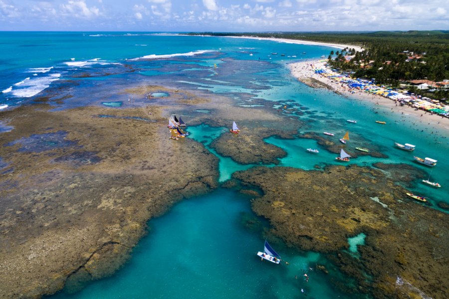 PISCINES NATURELLES