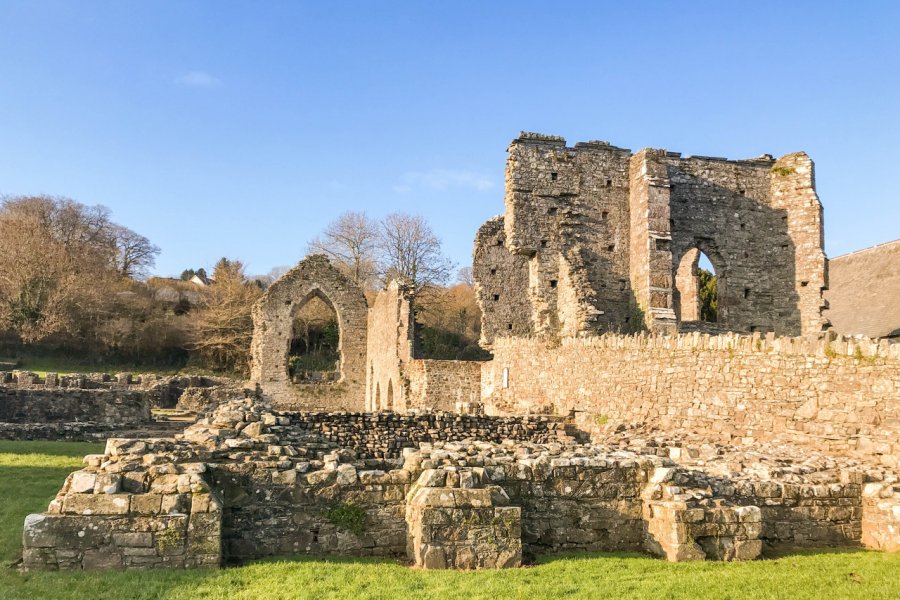ST. DOGMAELS ABBEY