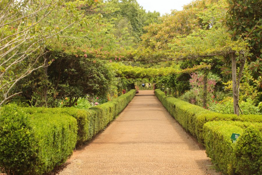 PALHEIRO GARDENS
