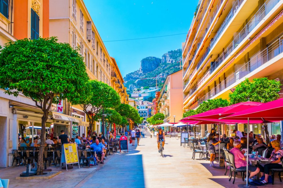 Monaco. trabantos - Shutterstock.com